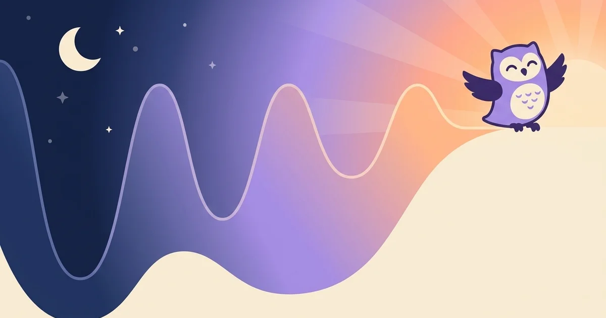 Sleep Cycles Explained: Why When You Wake Up Matters More Than How Long